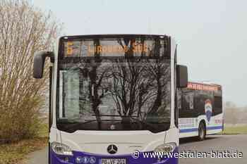 Mit dem Bus zum Lippesee