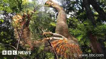 Unique two-clawed dinosaur discovered