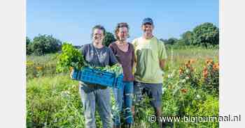 Biologisch tuinbouwbedrijf Klein Broekhuizen met nieuwe winkel en appartement