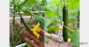 "Duurzaamheid omvat niet alleen de teelt, maar ook de werknemers"