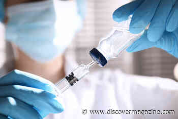 New Tuberculosis Vaccine Shows Promise to Treat Bladder Cancer