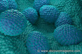 New Surgery for Prostate Cancer Could Reduce Some Unwanted Side Effects