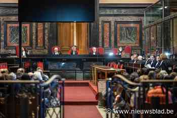 Jonge asielzoeker moet voor hof van assisen verschijnen na gewelddadige dood van dakloze man