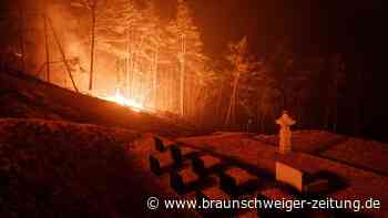 20 Menschen sterben bei Waldbränden in Südkorea – Tempel zerstört