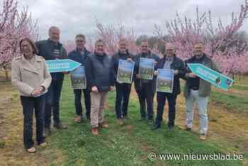 ‘Bloeiend Hageland’ zet schoonheid van de regio in de verf tijdens kleurrijke lentemaanden