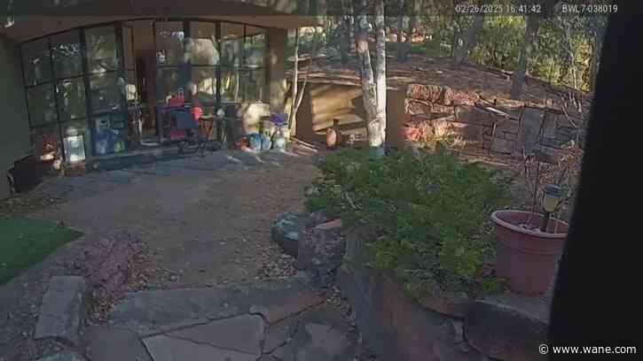 Bodycam footage from outside Gene Hackman, Betsy Arakawa's home released: 'Knew something was wrong'