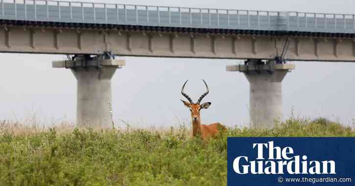 Biodiversity loss in all species and every ecosystem linked to humans – report