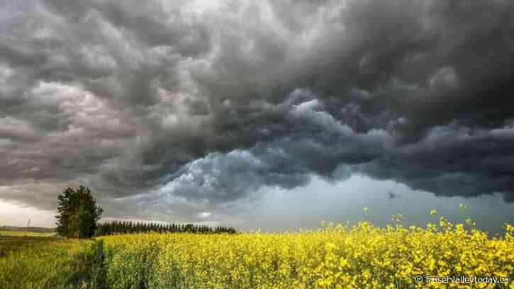Chilliwack, Abbotsford could get pummeled by thunderstorms, heavy rain later today