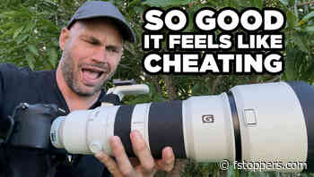 The Best Camera/Lens For Wildlife Photography Today