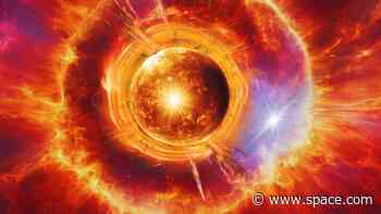 Strange red nova deaths of shrouded stars investigated by 'stellar Sherlocks'