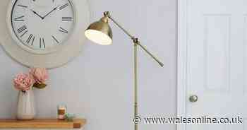 Dunelm shoppers praise 'perfect' floor lamp that looks 'classy' for just £50