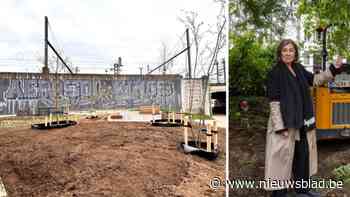 Nieuwe bomen op Josué Dupontplaats, waar vorig jaar buurtbewoonster de kettingzaag nog tegenhield: “Ik mis de wilg nog steeds”