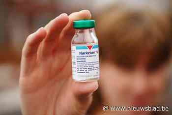 Ketamine dagelijks aanwezig in Leuvens rioolwater: “Veel jongeren kunnen het met één telefoontje bemachtigen”