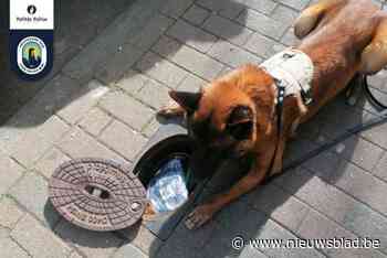 Tientallen mensen betrapt bij nieuwe drugsactie op Betlehemplein