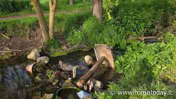 Vandalizzato il giardino delle Farfalle nel Parco degli Acquedotti. "Terzo caso in meno di un anno"