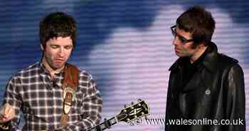 Oasis fans say 'I can't breathe' as band share update with 100 days to go ahead of reunion tour kicking off in Cardiff