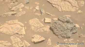 Strange sphere-studded rock on Mars found by NASA's Perseverance rover