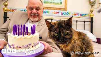 'World's oldest cat' only drinks bottled water