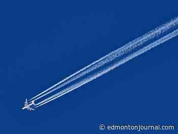 Why is flying within Canada so expensive and how does that affect Edmonton?