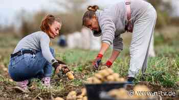 Erst Abzug, dann Sanktionsende: EU schmettert russische Bedingung für Waffenruhe ab