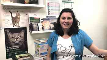 Dierenarts slaat alarm: al meer dan tien katten overleden door vergiftiging in Val-Meer