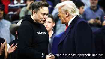 Trump gibt persönliche Einblicke über sein Verhältnis zu Musk: „Ich kannte ihn kaum“