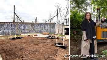 Marie hield vorig jaar de kettingzaag nog (even) tegen, nu zijn er nieuwe bomen op Josué Dupontplaats: “Maar ik mis die wilg nog steeds”