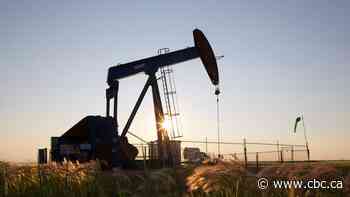 Owner of oil well near Cold Lake, Alta., blames 60,000-litre crude oil spill on vandalism