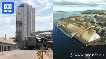 Owner of ‘uneconomical’ Port Pirie and Hobart smelters calls for government help to stay afloat