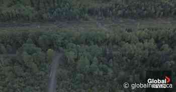 B.C. court hears challenge to Nisga’a-led natural gas pipeline