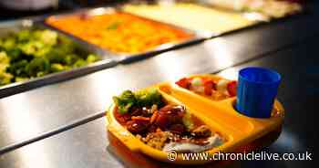 Gateshead Council urges families to access free school meals to help in cost of living crisis