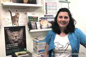 Dierenarts slaat alarm: al meer dan 12 katten overleden door vergiftiging in dezelfde gemeente