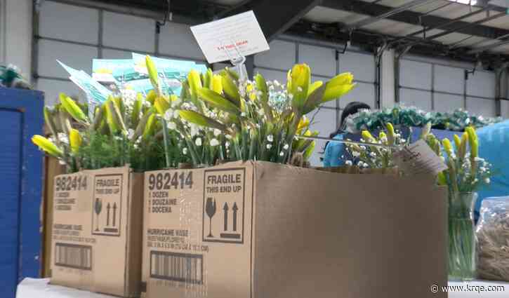 Daffodils on sale in central New Mexico to support hospice house