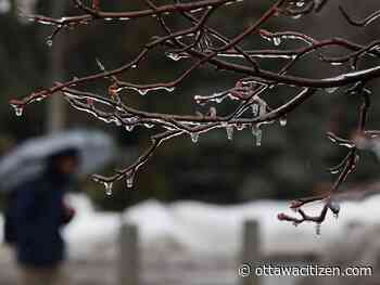 'Potent' ice storm forecast for eastern Ontario this weekend