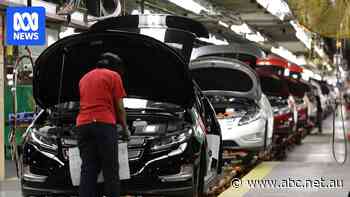 Live: Global stocks fall on fears of Trump auto tariffs