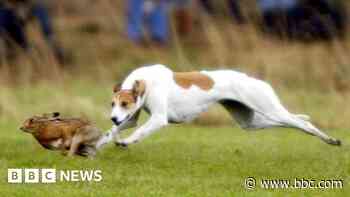 Bristol pair fined for hare coursing offences