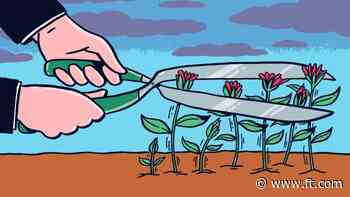 Should Brits brace for tax rises in the Autumn Budget?