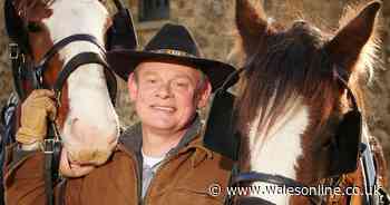 Martin Clunes says it's a 'great honour' as Doc Martin star prepares for role at Royal Welsh Show