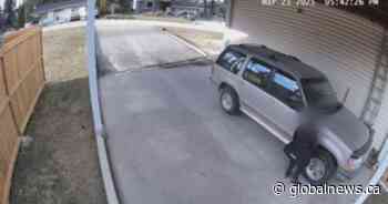 Rogers salesperson caught urinating on vehicle parked at Salmon Arm, B.C. home