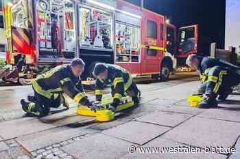 Bielefelder Feuerwehr zwei Mal im Einsatz