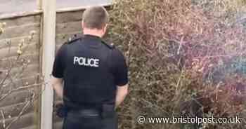 Avon and Somerset police officer caught weeing in woman's garden