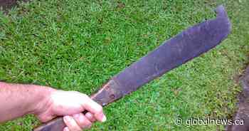 Should machetes be banned? Questions raised after attack at Edmonton McDonald’s