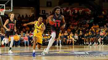 Winnipeg Sea Bears sign 6-foot-10-inch all-star forward