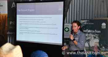 Which brands are accredited to use? Questions still being raised on sheep eID