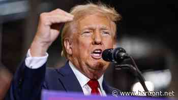 Das Ende der Diversität?: Welchen Einfluss der Cultural Change auf Marketing und Werbung hat