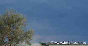 Central west's patchy rain a welcome bonus for grain growers | Grain Wrap