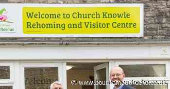 MP visits animal charity to celebrate 60 years of operation