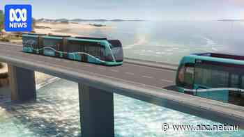 Minister 'happy to consider' privatised rail and bus to Sunshine Coast