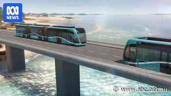 Minister 'happy to consider' privatised rail and bus to Sunshine Coast