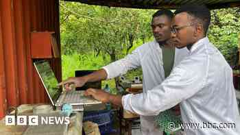 Bitcoin in the bush - the crypto mine in remote Zambia